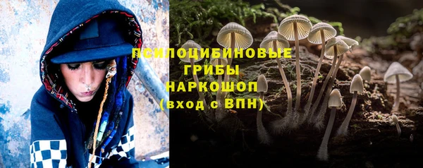 молекула духа Баксан