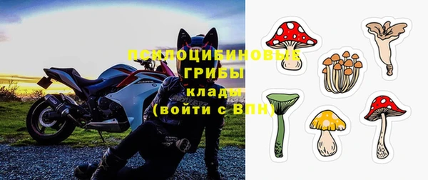 ECSTASY Балахна